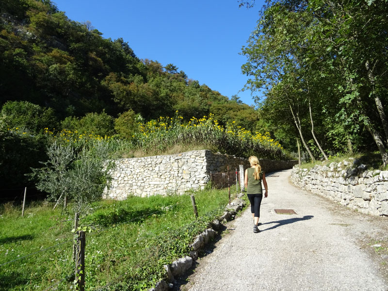 Giro del Monteghello -  sentiero F1 (Rovereto)